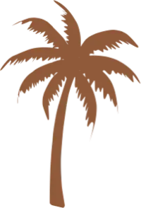 Palm Tree Icon