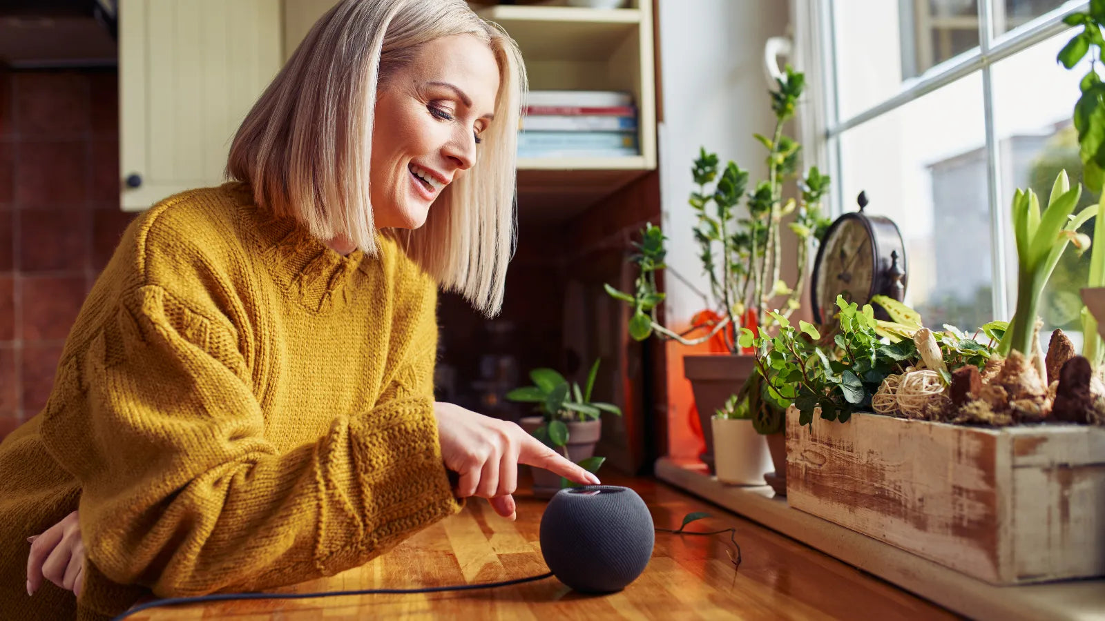 Controlling with your voice